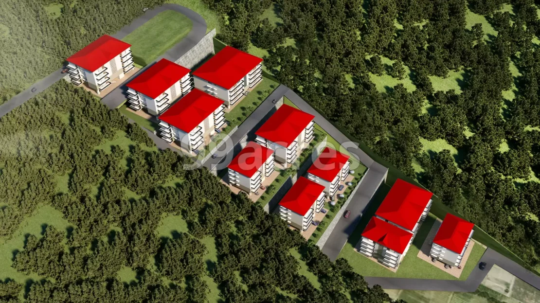 video image
